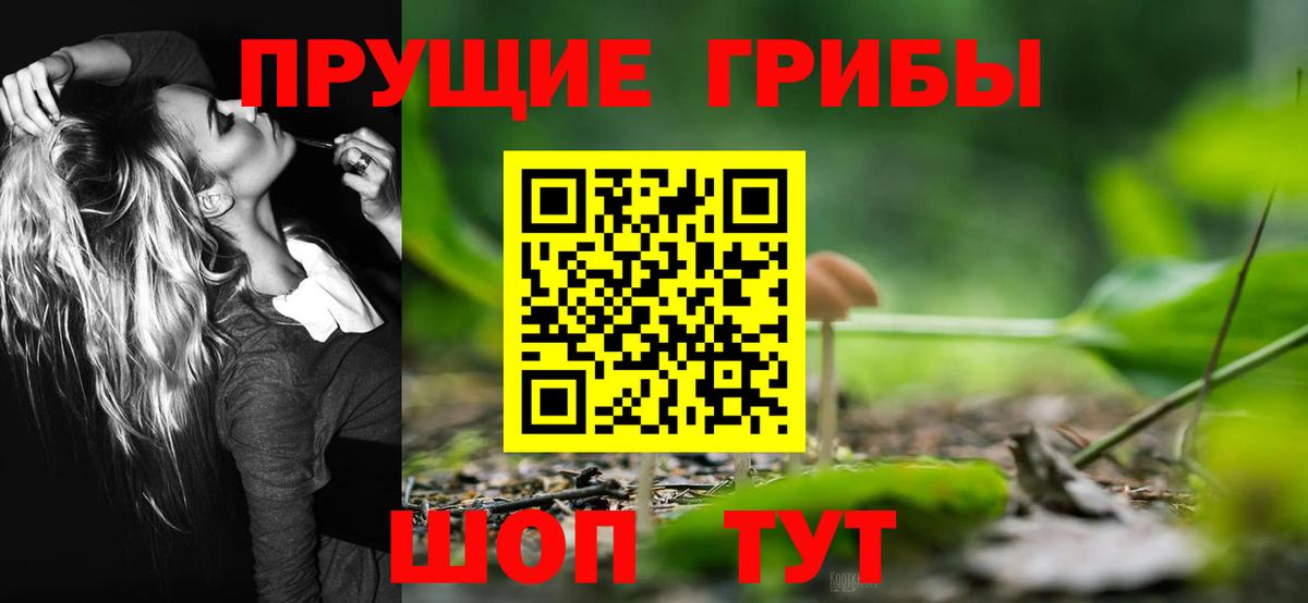 Омск  Псилоцибиновые грибы Psilocybine cubensis  Вход с VPN  что такое   Псилоцибиновые грибы Psilocybe 
