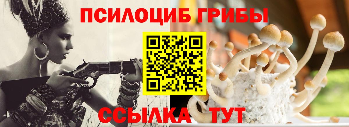 Псилоцибиновые грибы MAGIC MUSHROOMS Омск